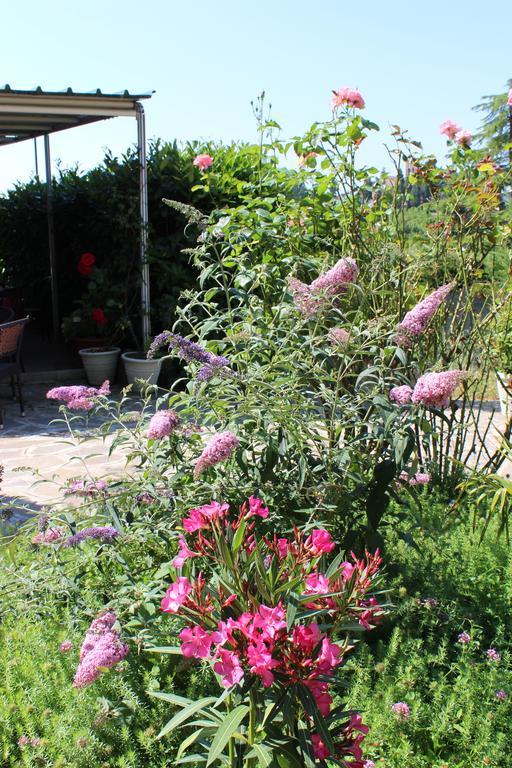Albergo La Pieve Castelfiorentino Exterior photo